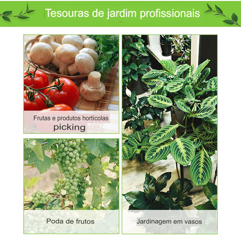 Tesouras de Poda para Jardinagem - Ferramenta de Jardim, Tesoura de Bonsai, Ferramenta para Poda de Uvas e Frutas, Remoção de Ervas Daninhas e Potes Domésticos